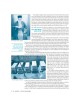 Aleppo - City of Scholars | Books | Judaica